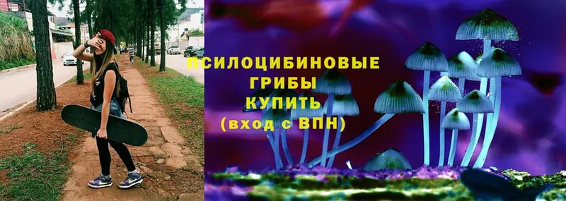 mega ТОР  Оленегорск  Галлюциногенные грибы Magic Shrooms  хочу  